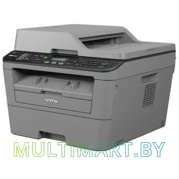 МФУ Brother MFC-L2700DNR